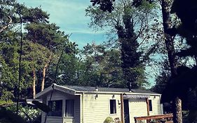 Knus Chalet Midden In De Bossen